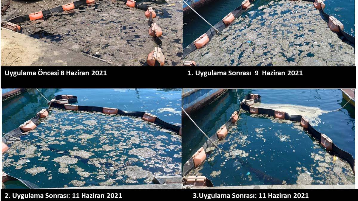 İstanbul Üniversitesi, müsilajı deniz bakterisiyle temizledi