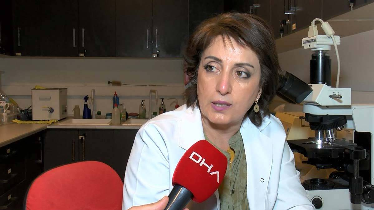 İÜ'de müsilaj incelemesinin ilk sonuçları