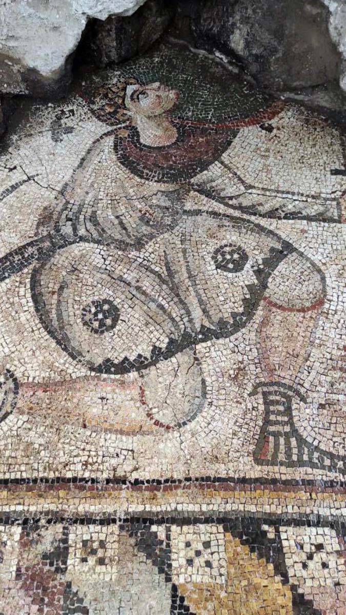 Kaçak kazıyla ortaya çıkan mozaikler 24 saat korunuyor 