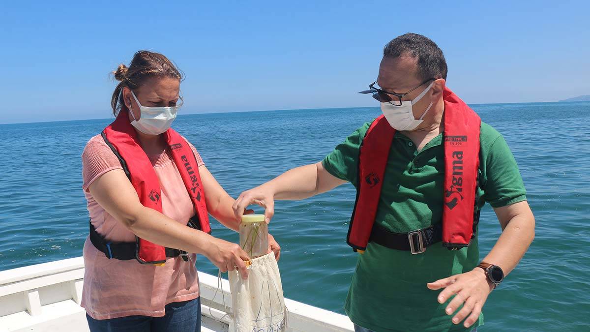 Karadeniz'de görülen müsilaj endişelendirdi