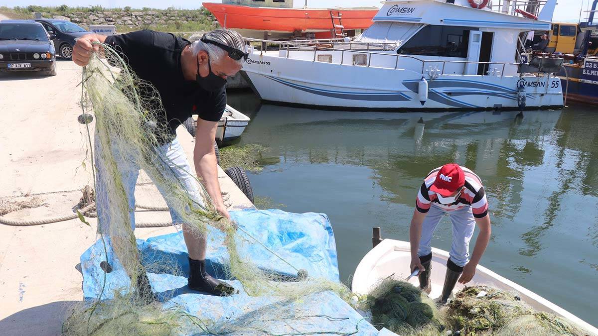 Kızılırmak Deltası'nda 26 istilacı tür keşfedildi