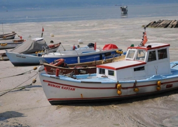Körfezi kaplayan müsilaj, balık avının engeli