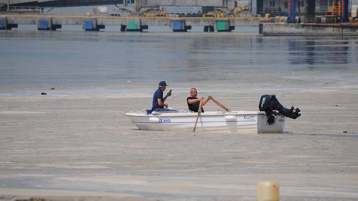 Körfezi kaplayan müsilaj, balık avının engeli