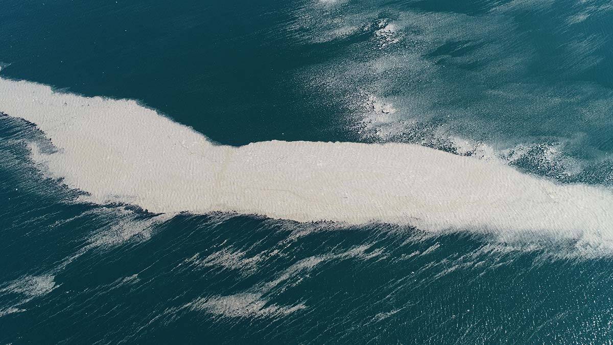 Küçükçekmece açıklarında müsilaj adası