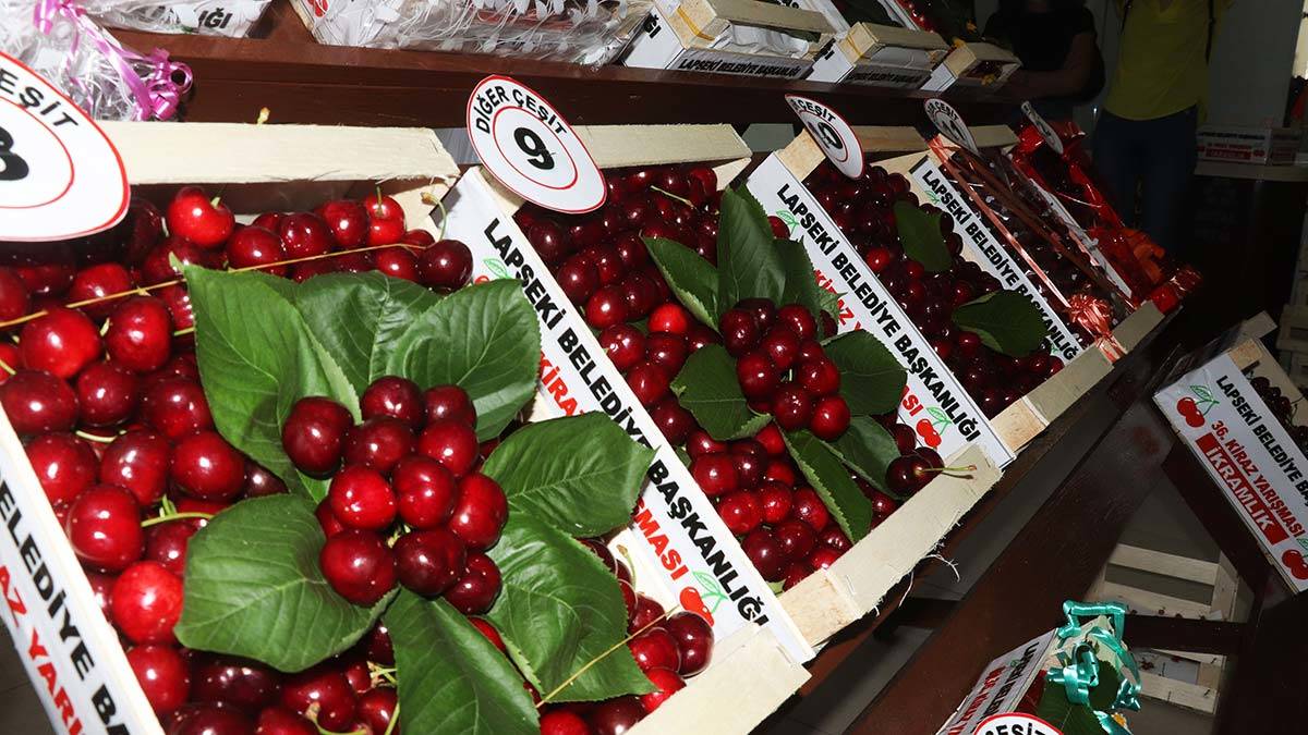Şampiyon kirazlar belli oldu
