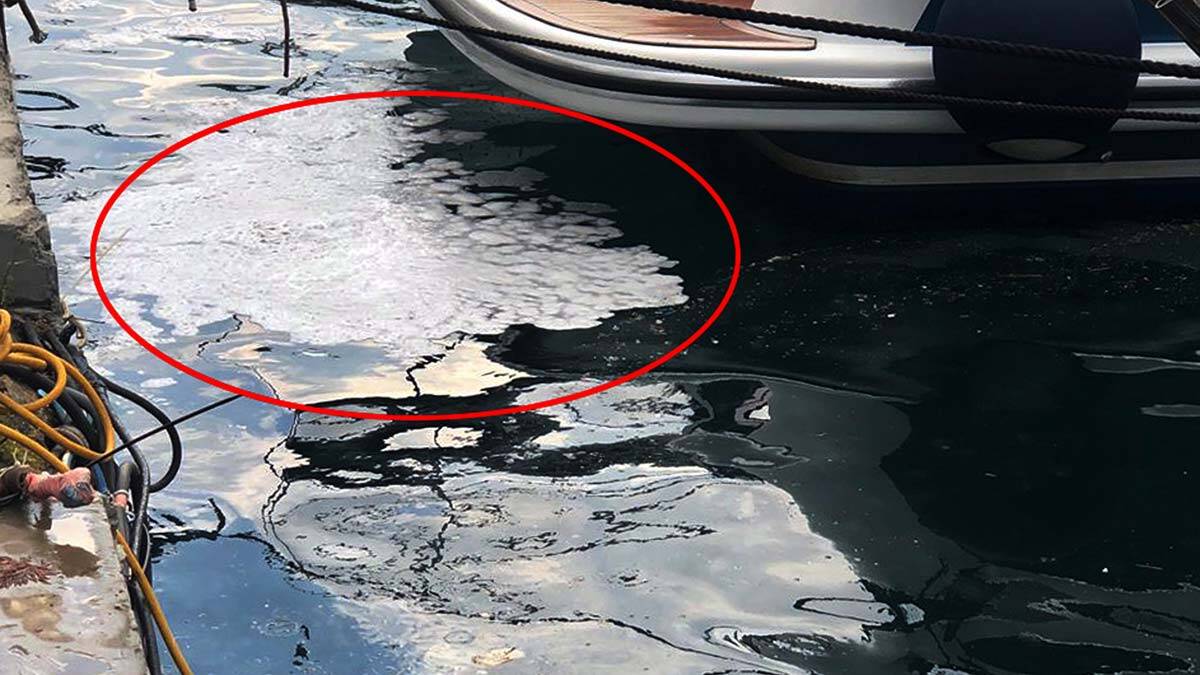 Marmara'yı ağır yaraladık