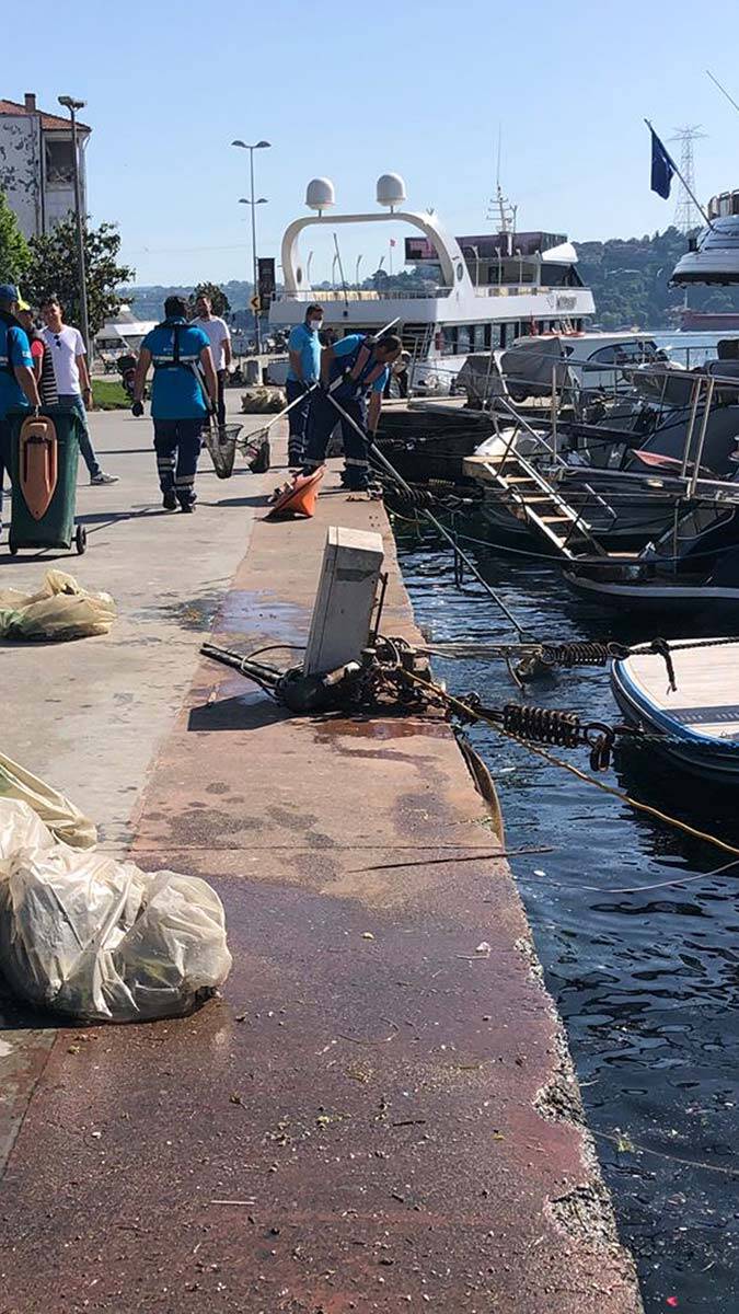 Marmara 5 yılda temizlenebilir