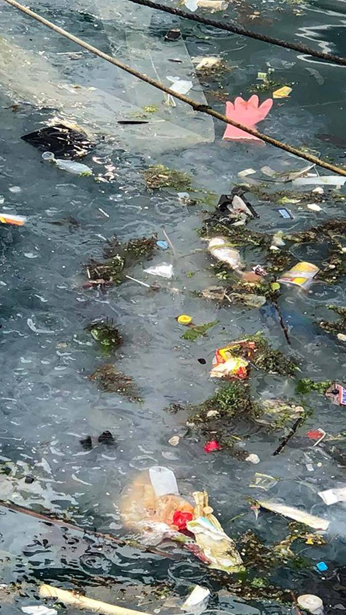 Marmara ölü deniz haline geldi