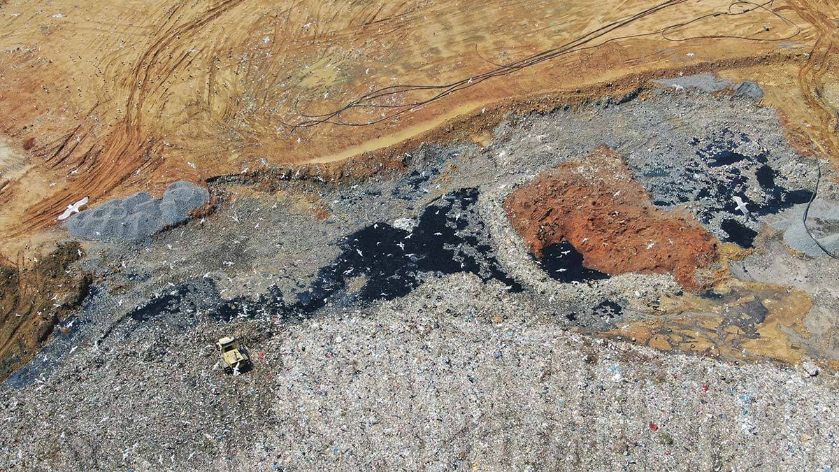 Marmara'dan çıkan müsilaj Şile'de toplanıyor