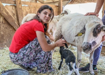 Melek İpek yaşadığı zor günleri geride bıraktı