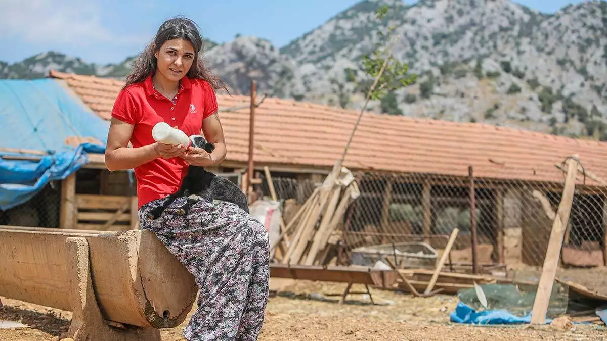 Döşemealtı ilçesinde, 7 ocak'ta kendisine işkence edip, ölümle tehdit ettiği iddiasıyla 12 yıllık eşi ramazan i̇pek'i av tüfeğiyle vurarak, öldüren 2 çocuk annesi melek i̇pek, mahkemece tutuklandı. Antalya 3'üncü ağır ceza mahkemesi'nde görülen 3'üncü duruşmada, 'meşru savunmada sınırın aşılması mazur görülebilecek bir heyecan, korku ve telaştan ileri gelmiş ise faile ceza verilmez' hükmü gereğince tahliyesine karar verilen i̇pek, 108 gün sonra özgürlüğüne kavuştu.