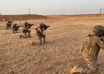 Barış Pınarı bölgesinde 3 PKK'lı etkisiz