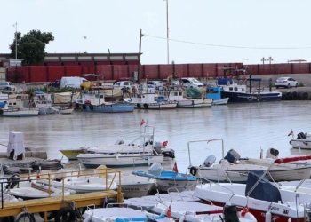 Müsilaj Tekirdağ sahilinde tekrar görüldü