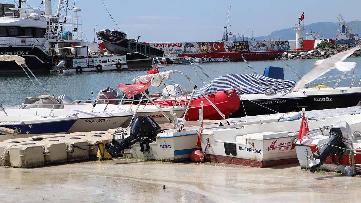 Müsilaj Tekirdağ sahilinde tekrar görüldü