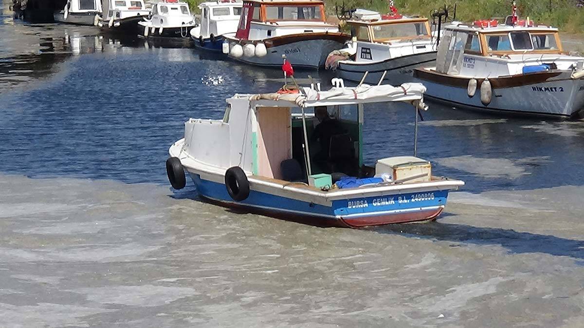 Marmara'dan 5 bin 738 metreküp müsilaj temizlendi