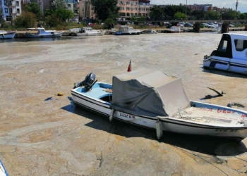 Marmara Denizi'nde 4 bin 555 metreküp müsilajı temizledik