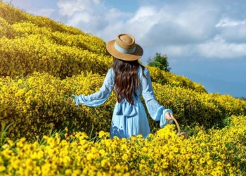 Mutluluğun formülü nedir?