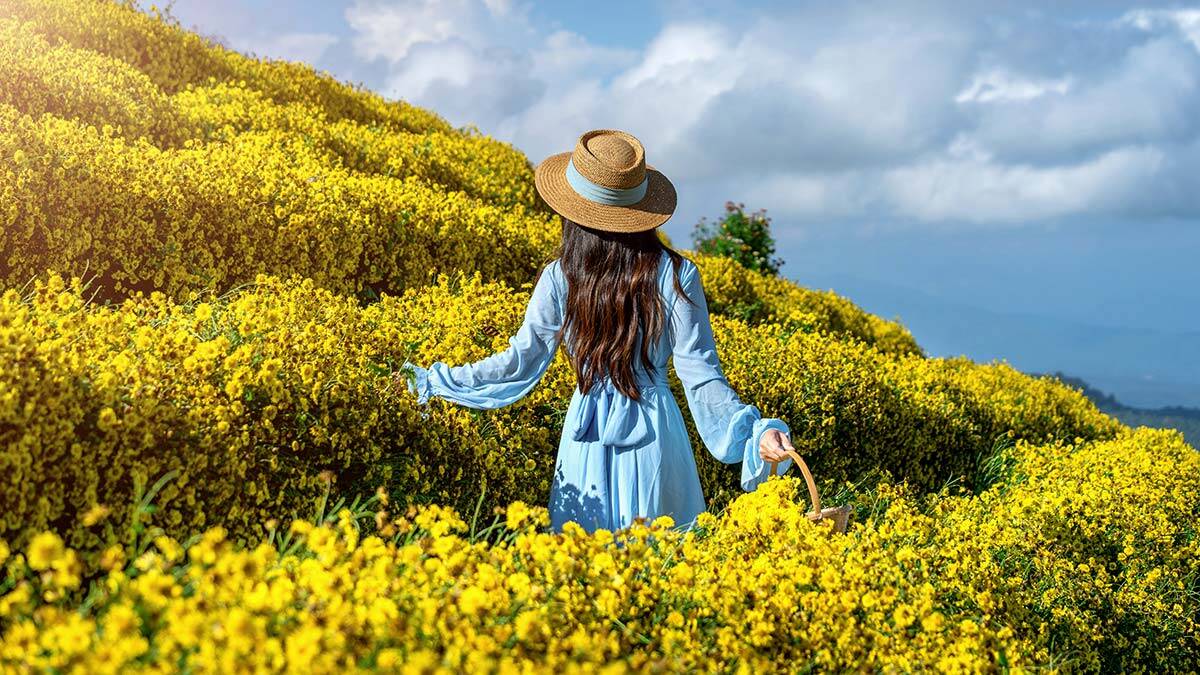 Mutluluğun formülü nedir?