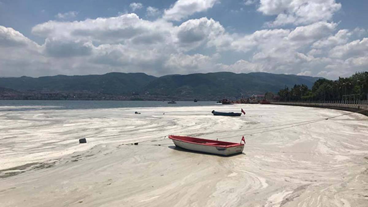 Nöroloji uzmanından müsilaj uyarısı; felç riski var