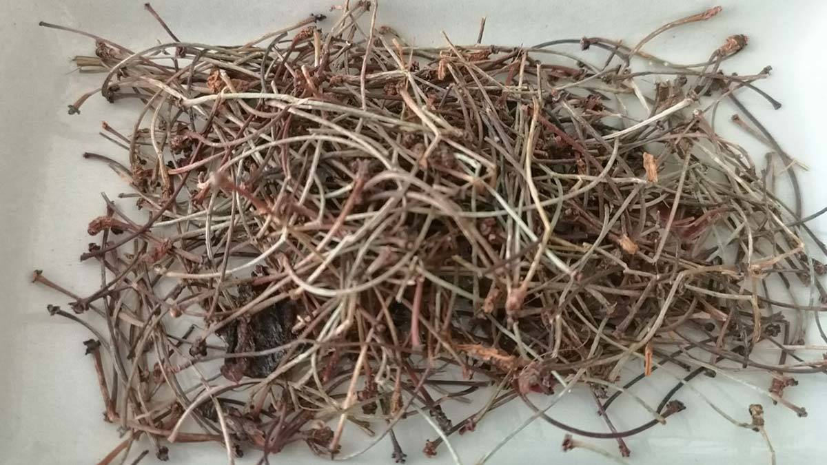 Ödeme karşı kiraz sapı çayı uyarısı