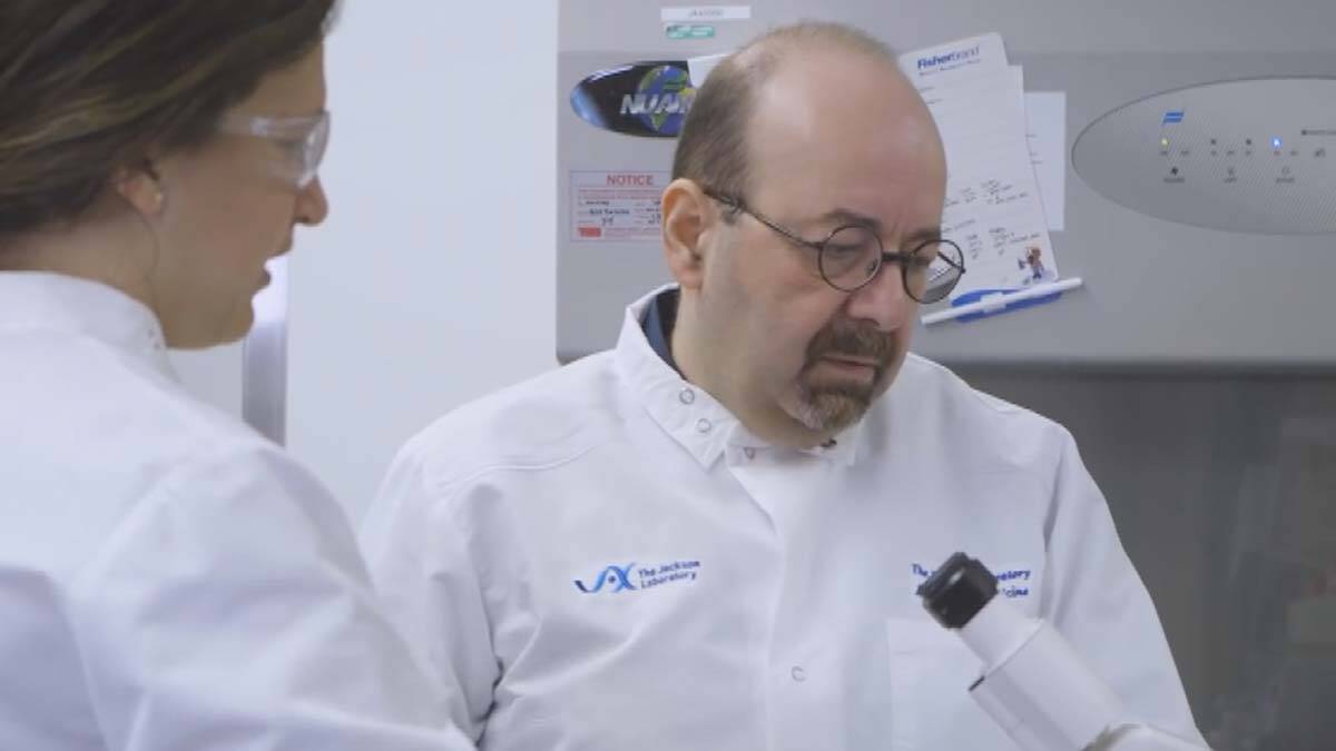 İlaç denemelerinde yapay organ dönemi başlıyor