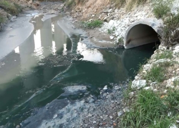 Şamlar Gölü'ne akan dereye kimyasal atık karıştı