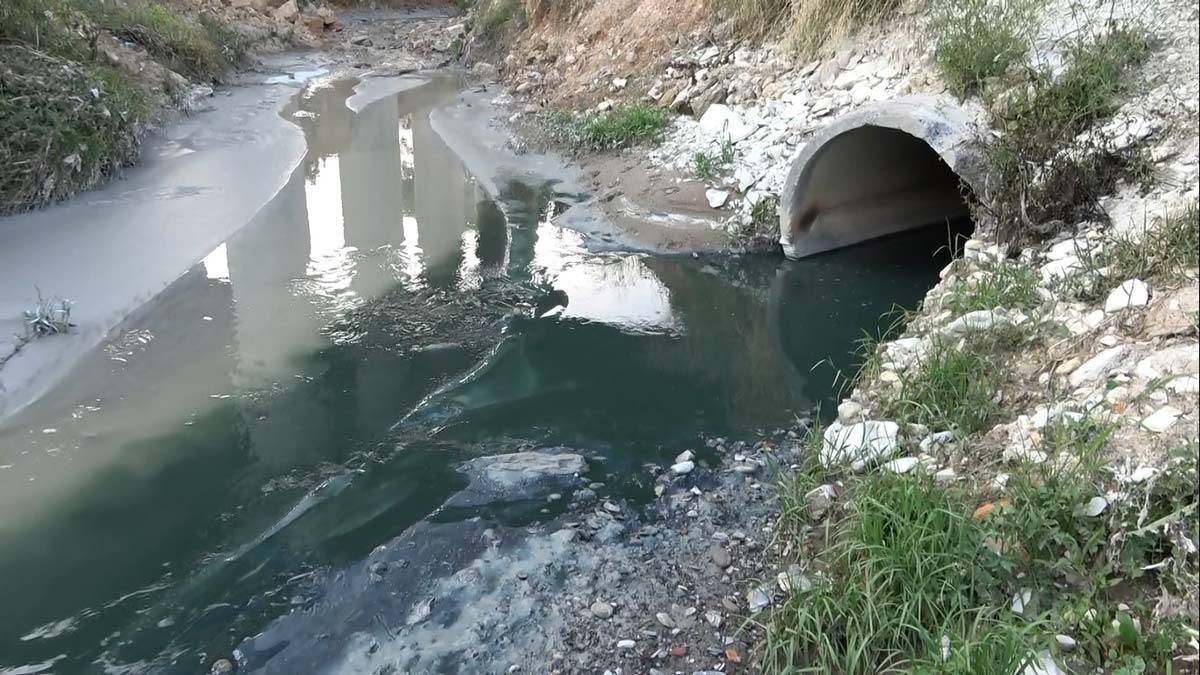 Şamlar Gölü'ne akan dereye kimyasal atık karıştı