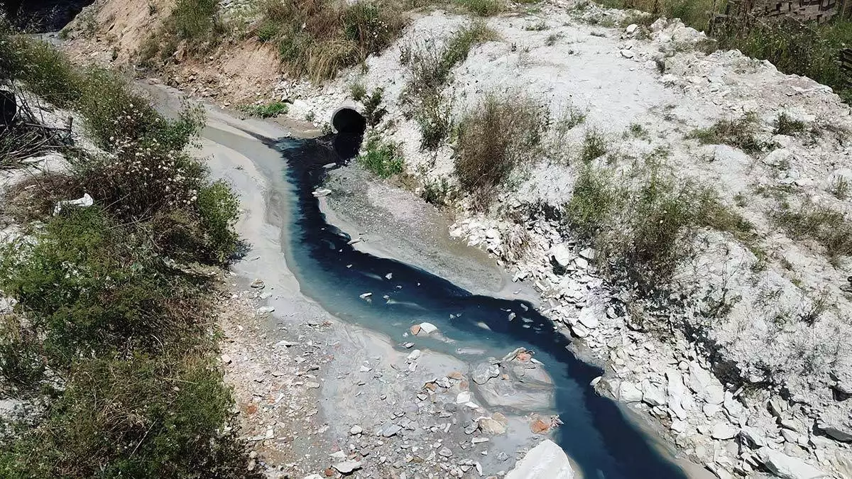 Şamlar gölü'ne akan dereye kimyasal atık karıştı