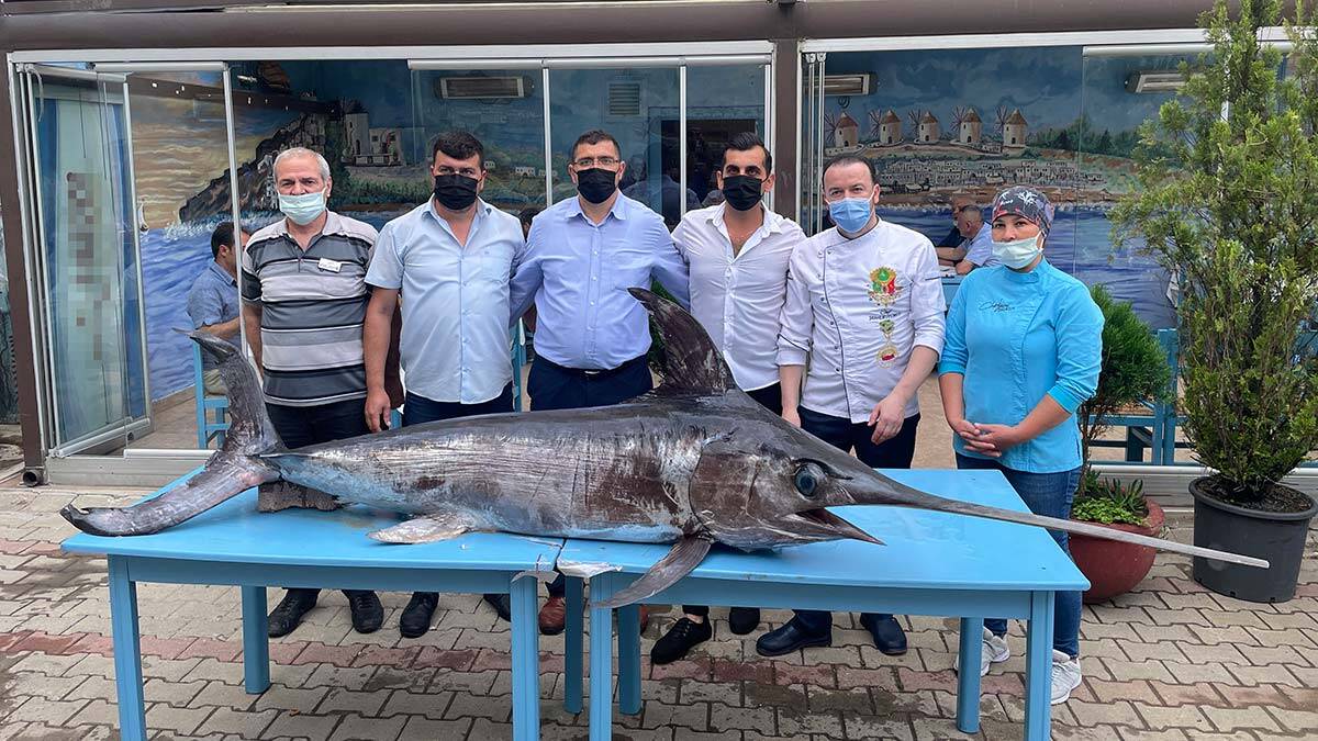 3 metre uzunluğunda ve 90 kilo ağırlığındaki kılıç balığı, ilgi gördü.
