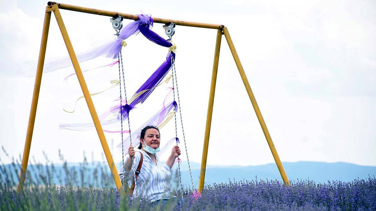 Lavanta Günleri başladı