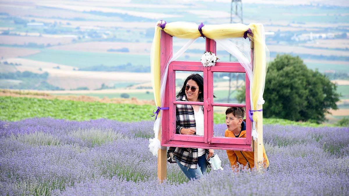 Tekirdağ'da 2 gün sürecek Lavanta Günleri başlarken, Vali Aziz Yıldırım, herkesi etkinliğe katılmaya davet ettiklerini söyledi.