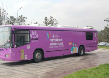 Vetbüs 3 gün boyunca Kartal'da