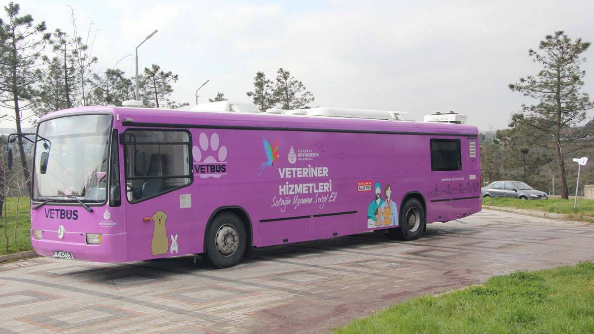 Vetbüs 3 gün boyunca Kartal'da