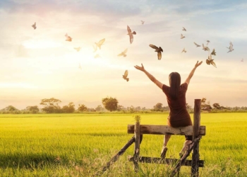 Güç nefret ve sevgi