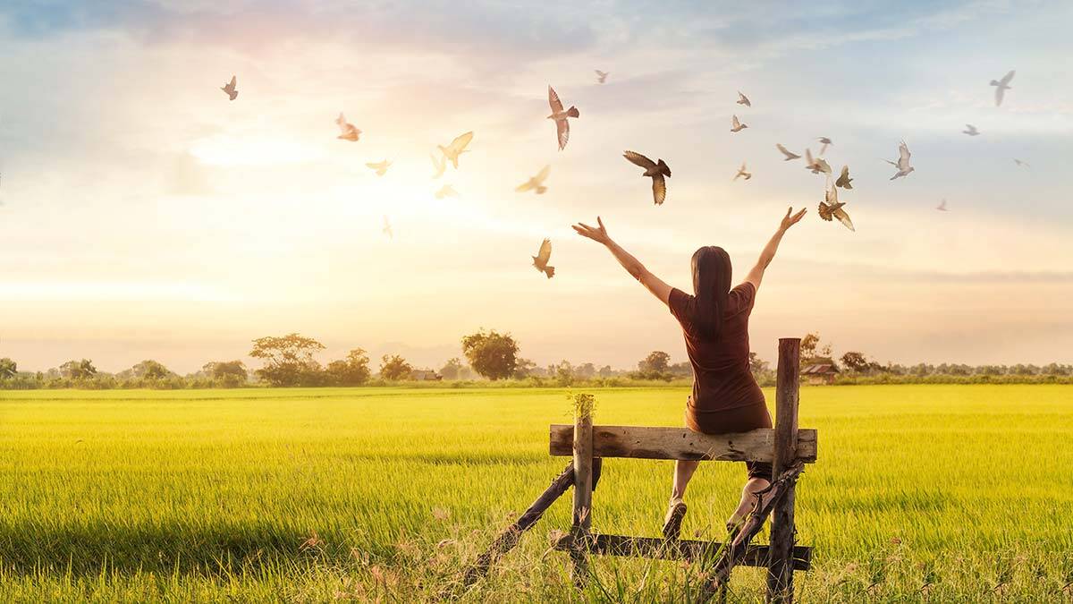 Güç nefret ve sevgi