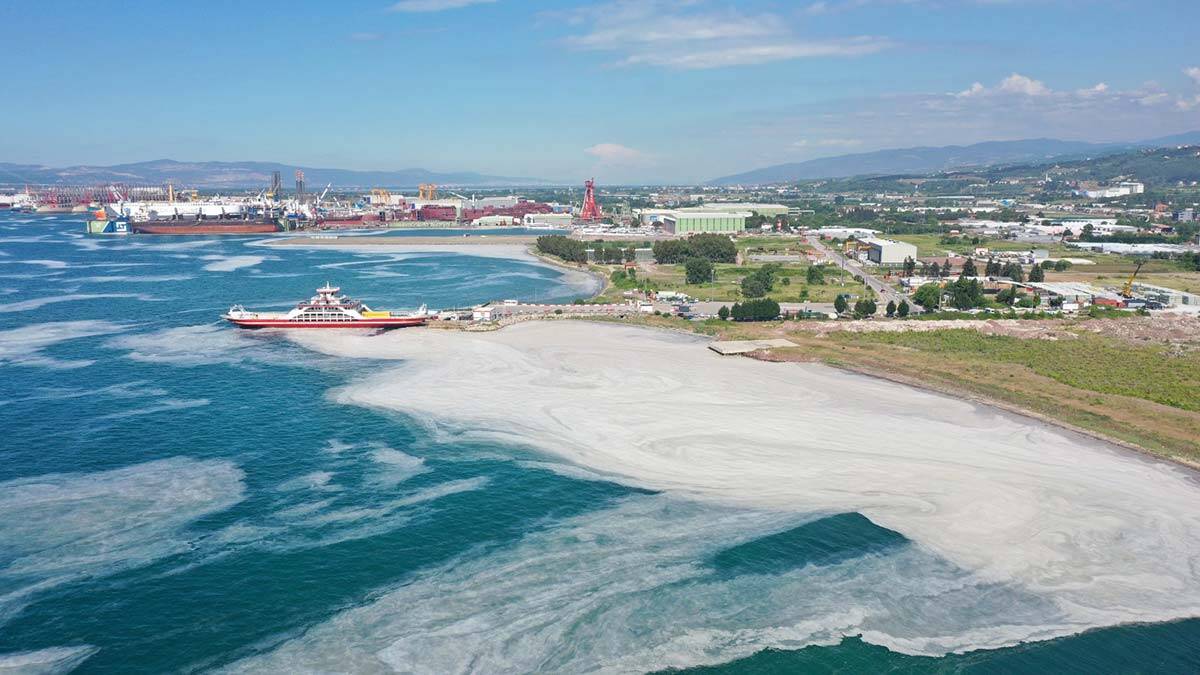 Yalova Çevre ve Şehircilik İl Müdürlüğü ile belediye ekiplerinin başlattığı müsilaj temizleme çalışmaları sürüyor.
