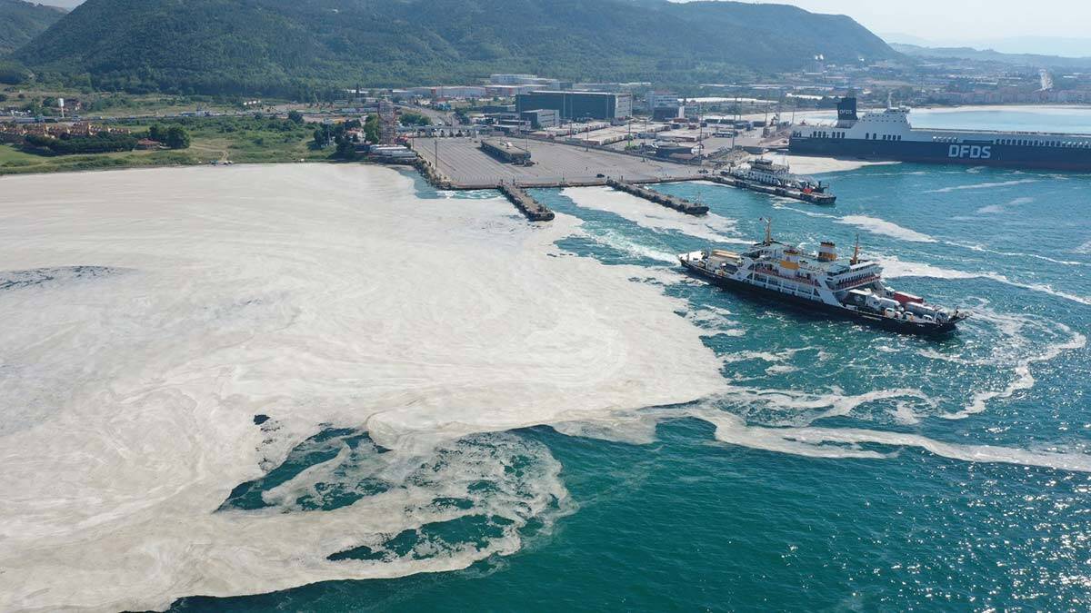 Yalova kıyıları yeniden beyaza bürüdü