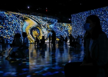 Van Gogh tablolarının içinde gezdiler