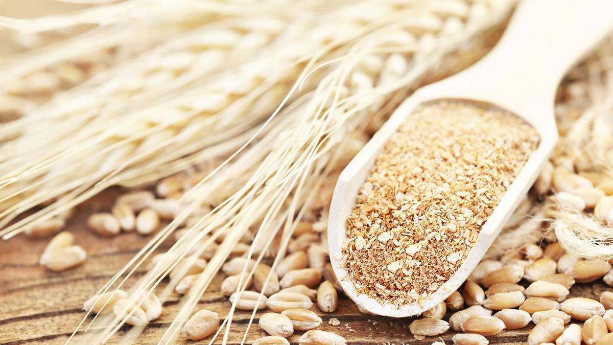 Türkiye'nin ilk tescilli siyez buğdayları üretilecek