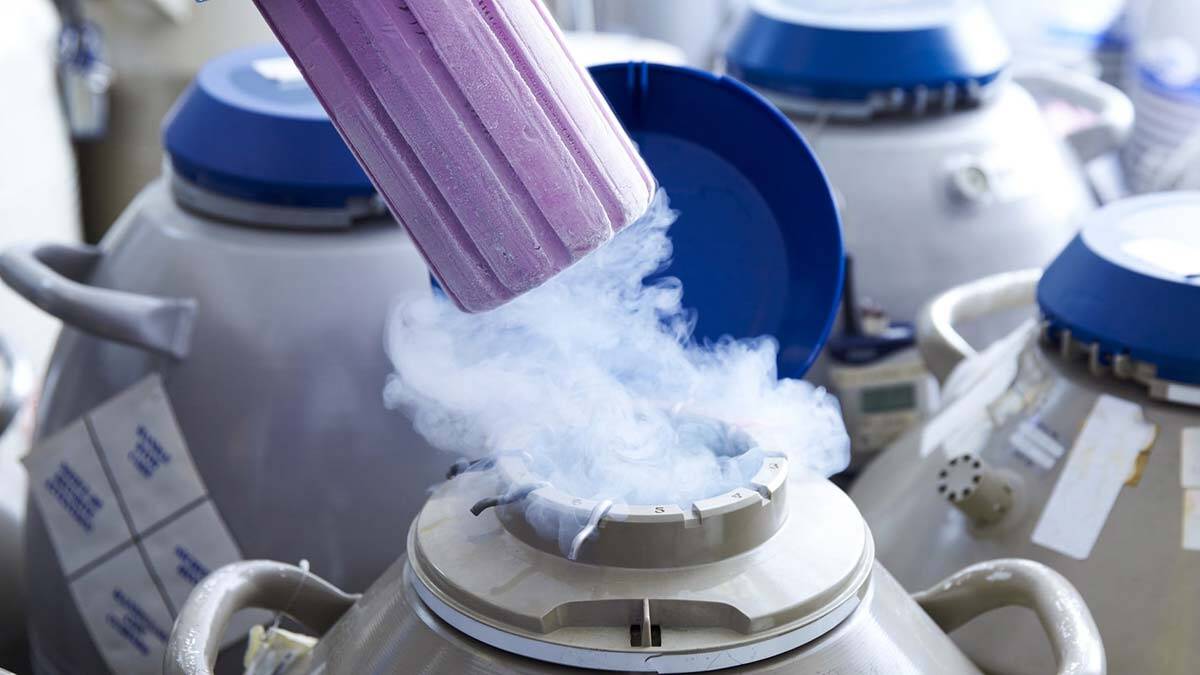 Yumurta rezervini 10 yıl dondurmak mümkün