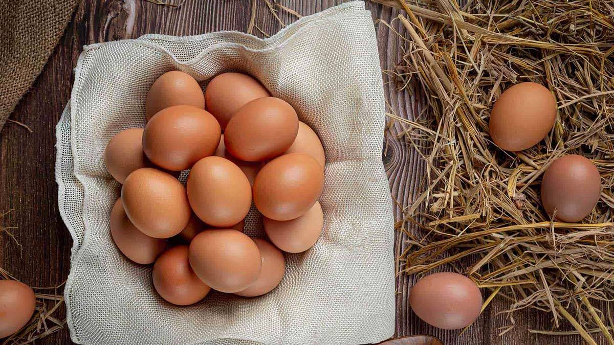 Organik yumurtayı ayırt etme yolları