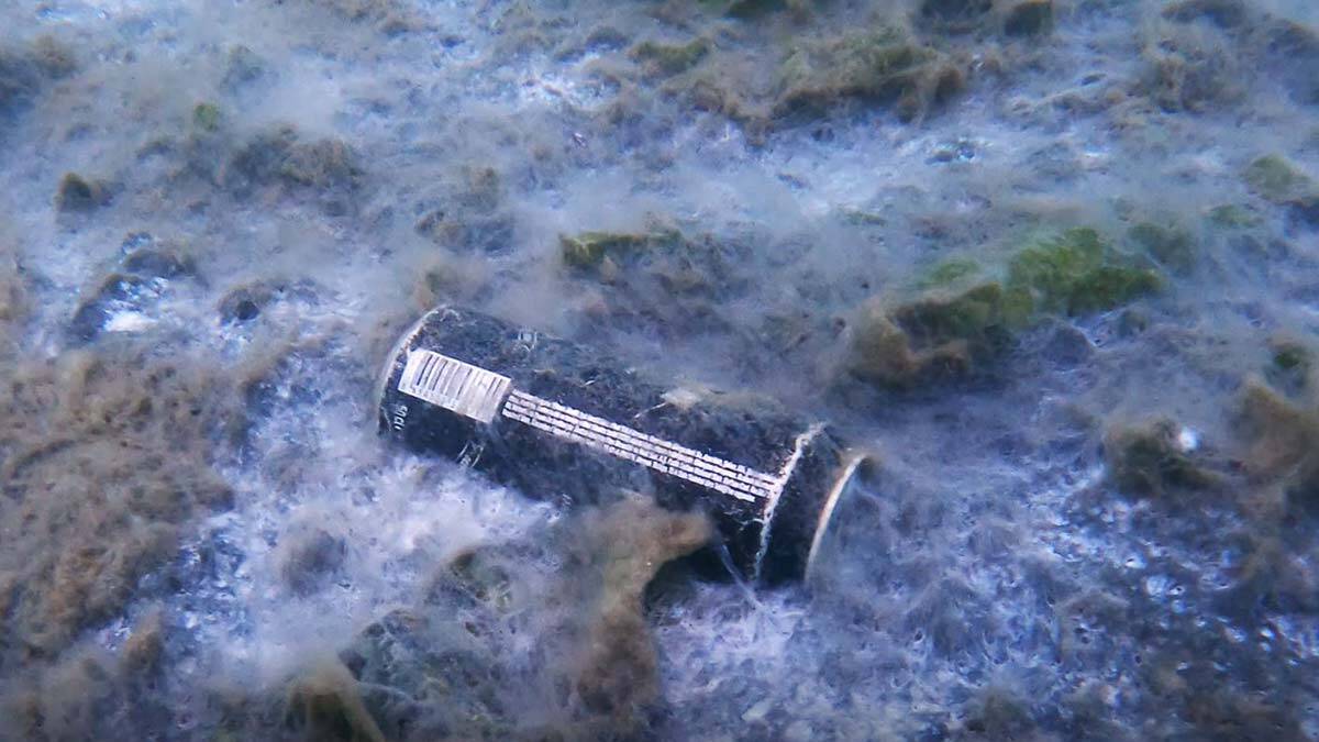 Zeytinburnu'nda kıyı ve deniz dibi temizliği yapıldı 