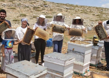 2 bin rakımda bal sağımı