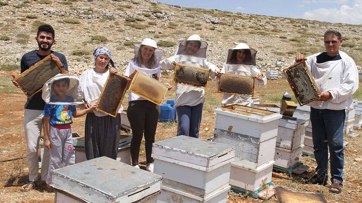 2 bin rakımda bal sağımı