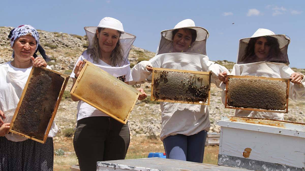 2 bin rakımda bal sağımı 