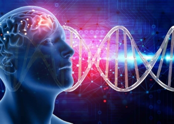 Vücudumuzun merkezi beynimiz...