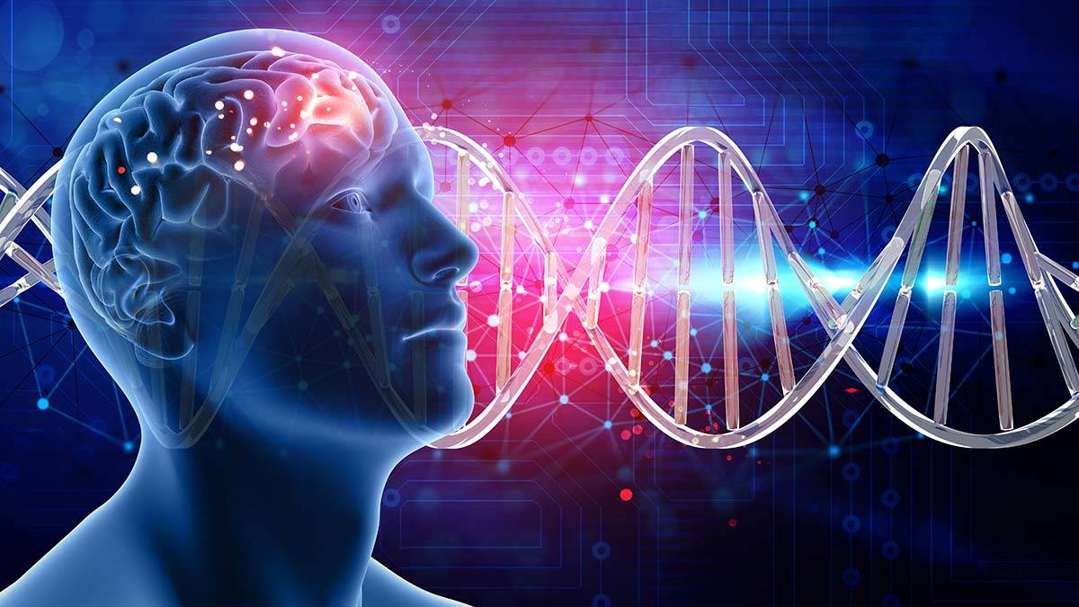 Vücudumuzun merkezi beynimiz...