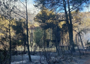 71 orman yangınından 57'si kontrol altında