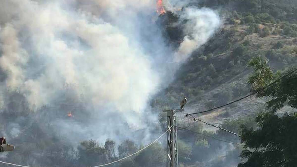 74 orman yangını kontrol altına alındı