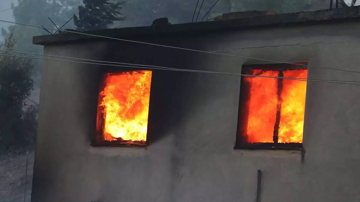 Adana kozan'da yangın hala devam ediyor